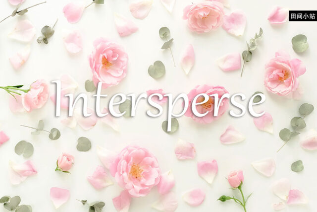 小词详解 | intersperse