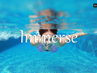 小词详解 | immerse