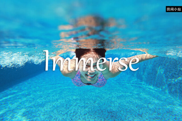 小词详解 | immerse