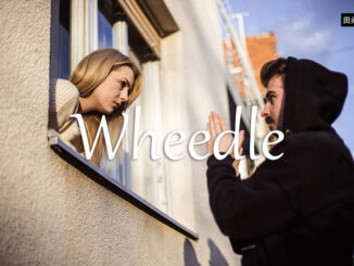 小词详解 | wheedle