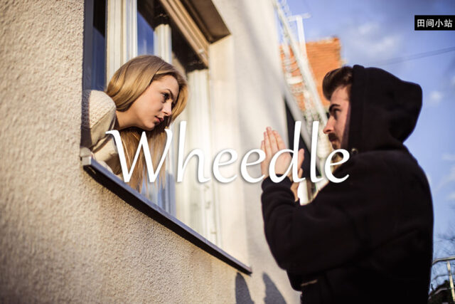 小词详解 | wheedle