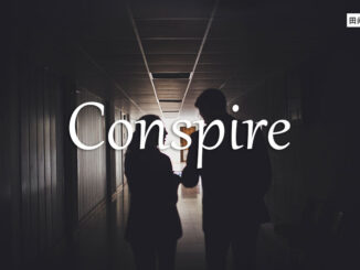 小词详解 | conspire