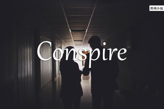 小词详解 | conspire