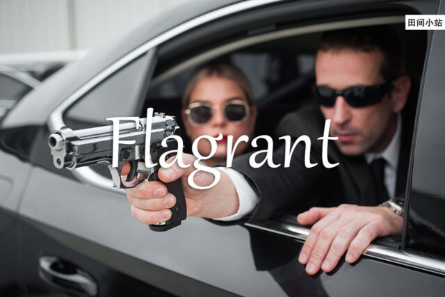 小词详解 | flagrant