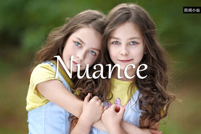 小词详解 | nuance