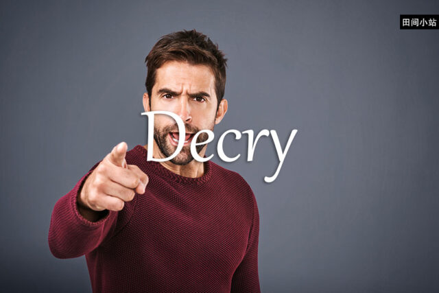 小词详解 | decry