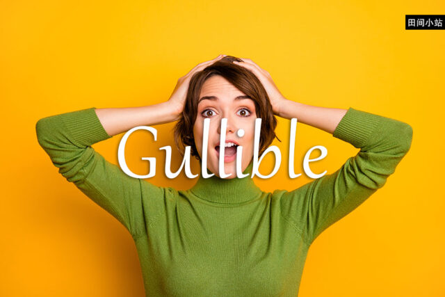 小词详解 | gullible