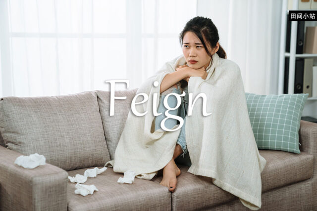 小词详解 | feign