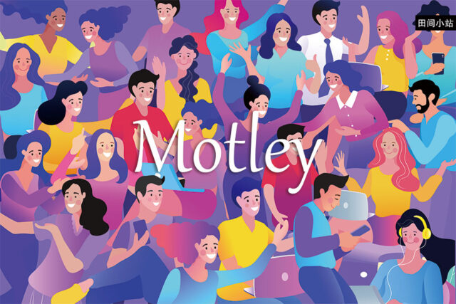 小词详解 | motley