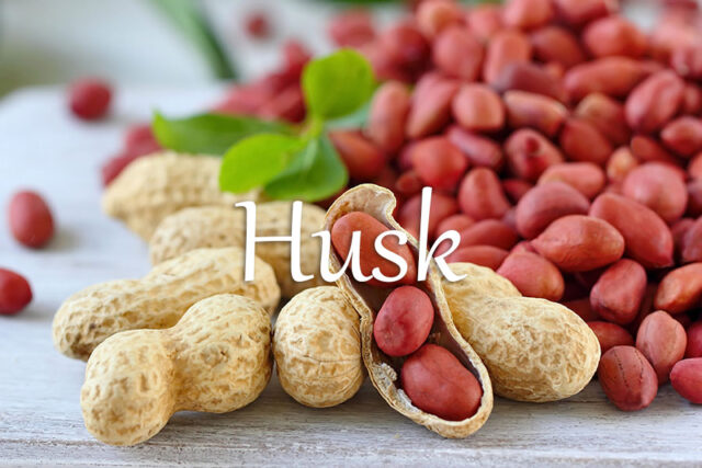 经济学人每日一词：husk