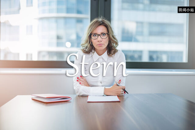 经济学人每日一词：stern